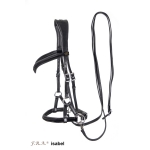 Isabel Sidepull Bitless Bridle & Reins